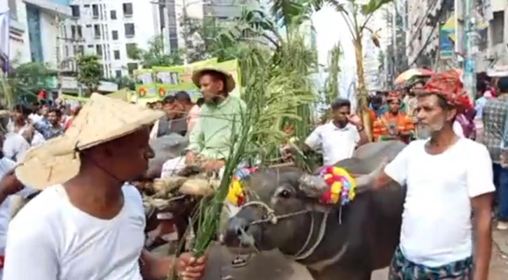 ধানের শীষ হাতে কৃষকের বেশে বিজয় র‍্যালিতে বিএনপি সমর্থকরা